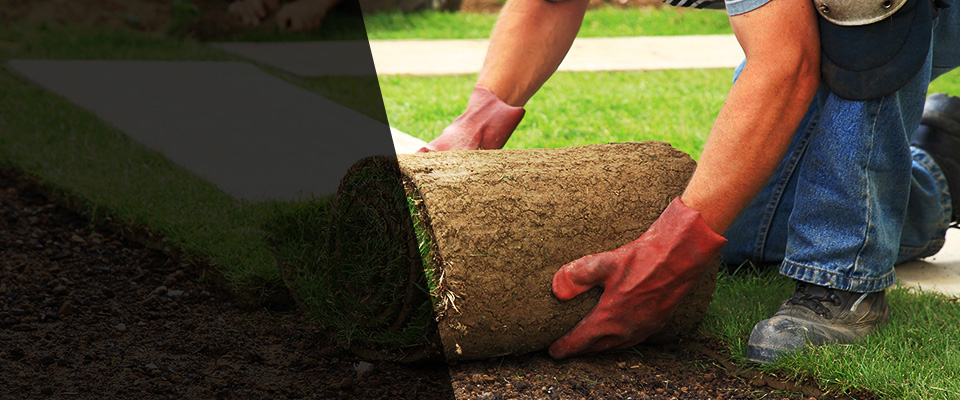 Brentwood Landscapers